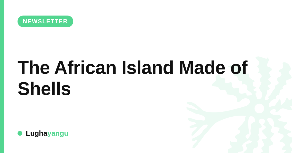 The African Island Made of Shells