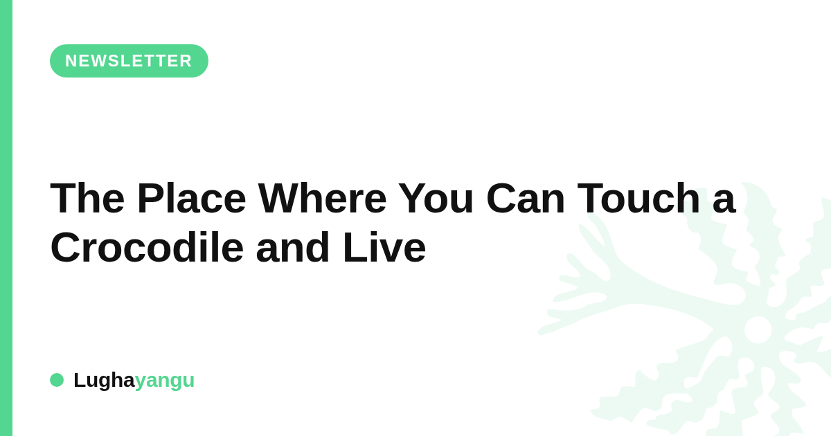 The Place Where You Can Touch a Crocodile and Live