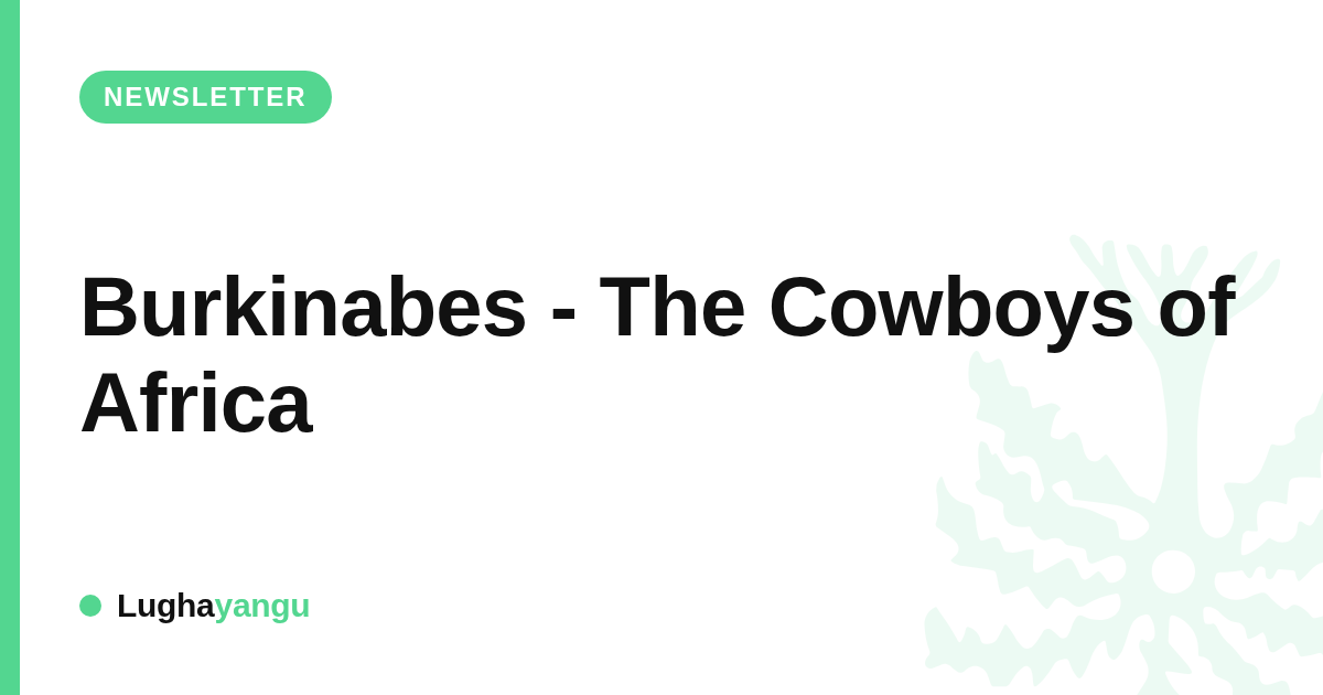 Burkinabes - The Cowboys of Africa